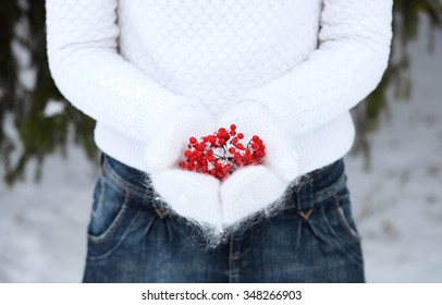 Winter background