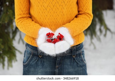 Winter background