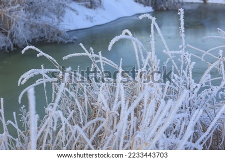 winter background, frozen grass, white snow and river, frosty day. Selective focus.