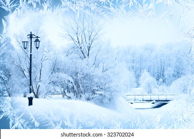 Winter background, landscape. Winter trees in wonderland. Winter scene. Christmas, New Year background
