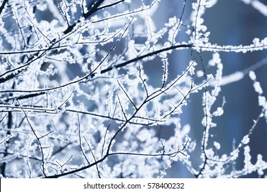 260 Beautiful Beautiful Winter Pictures ideas - winter pictures, winter  scenes, winter wonder