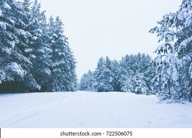 Winter Background, Winter Outdoor Scene