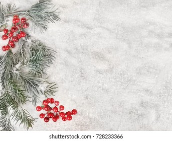 Winter Background - Snow, Natural Fir Tree, Cranberries 