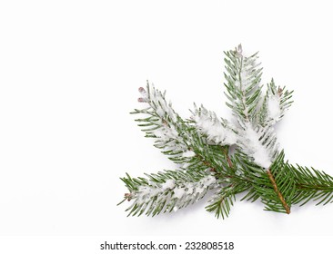 Winter background with snow-covered tree.