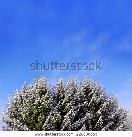 Foto Bild Erogene Zone Natur Himmel