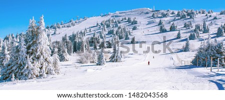 Winter banner panorama of the slope at ski resort, people skiing, snow pine trees, blue sky