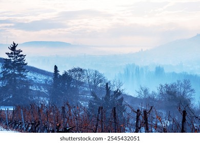 Winter bare vineyard in Wuerzburg; Germany, with rows of dormant vines stretching toward a misty horizon. Scenic foggy town  view and dramatic cloudy sky. - Powered by Shutterstock