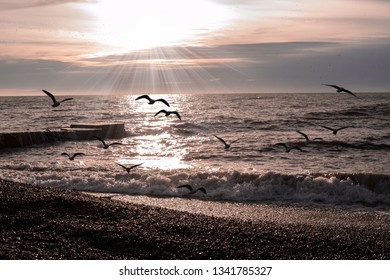 The winter beach
