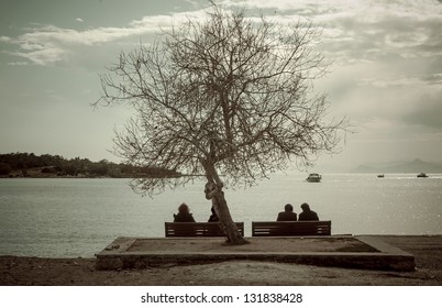 Winter Beach Scene, With People Silhouettes Enjoying The Sun Sitting Under An Old Tree