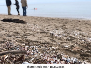 Winter Beach Scene With People Standing In Background