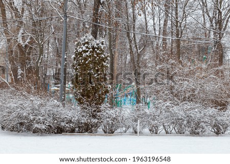 Similar – Foto Bild Eisige Stille Umwelt Natur