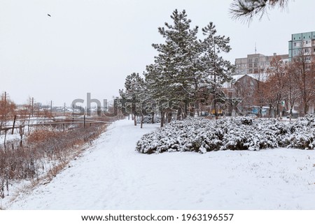 Similar – Foto Bild Eisige Stille Umwelt Natur