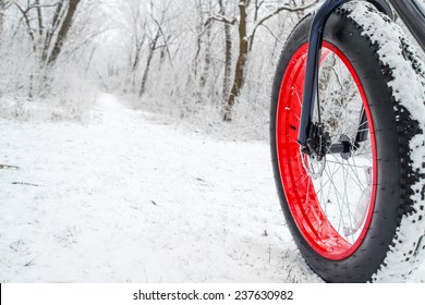 Winter Biking