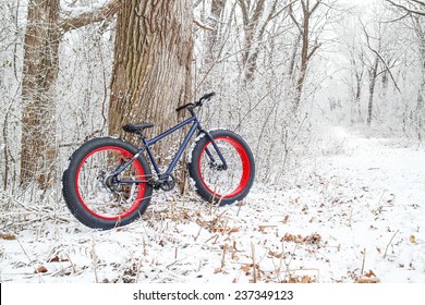 Winter Biking. Fat Tire Bike.