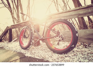 Winter Biking. Fat Tire Bike. Instagram Effect.