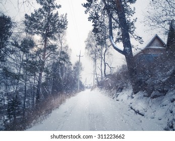 Winter Birch Forest Road, Siberia, Russia