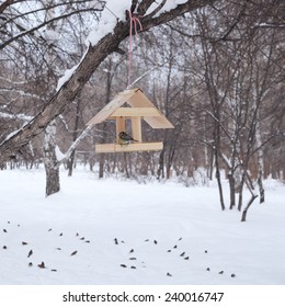 Winter Bird Feeder In A Park