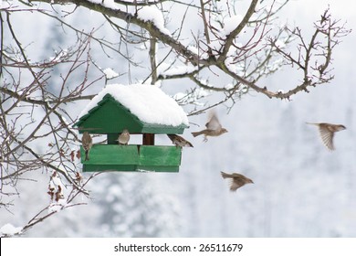 Winter Birdhouse