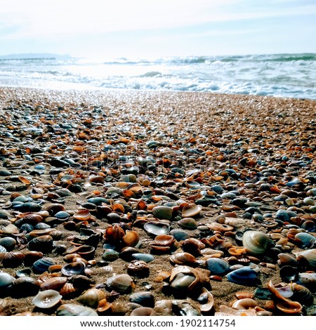 Similar – Stone beach in Brighton, England