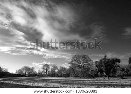 Similar – Image, Stock Photo Trees vs. storm 1 : 0