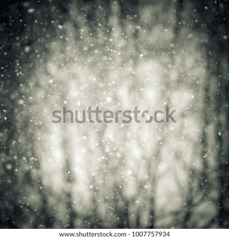 Similar – Image, Stock Photo Winter in Mecklenburg Snow