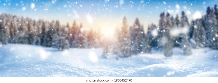 winter snow banner