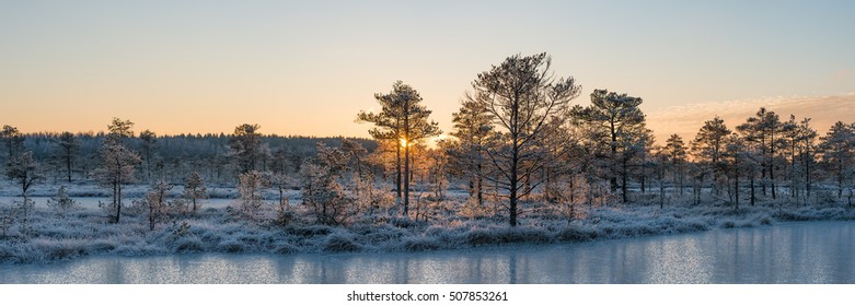 Winter Bog Landscape In Estonia.