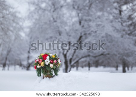 Similar – Image, Stock Photo Advent in the forest…