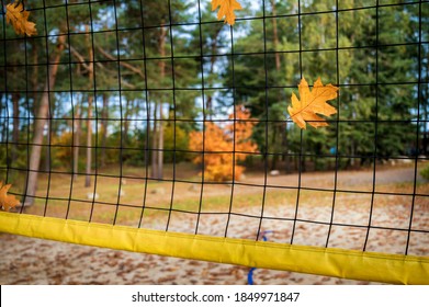 Winter Break In Beach Volleyball Depicted With Autumn Leaves In The Volleyball Net