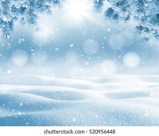 Winter bright background  Christmas landscape and snowdrifts   pine branches in the frost 