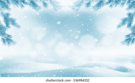 Winter Bright Background. Christmas Landscape With Snowdrifts And Pine Branches In The Frost.