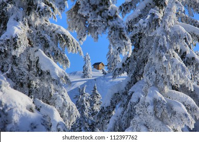 Winter Cabin