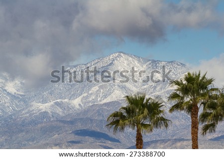 winter in California. snow on the mountains  with palm trees in the valley.