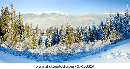 Similar – Image, Stock Photo Winter panorama with snowy mountains and snow-covered road