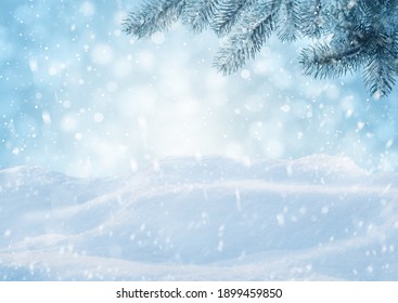 Winter Card Design. Beautiful Fluffy Snow And Fir Tree Outdoors