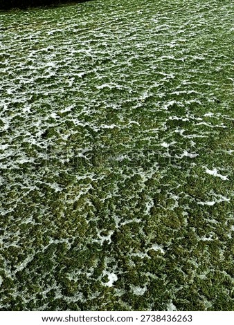 Winter changes the mood of nature, humane, earth, sky and even of lenses