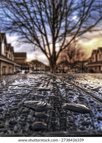Winter changes the mood of nature, humane, earth, sky and even of lenses