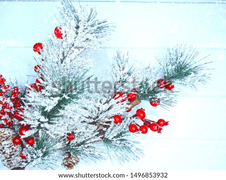 Similar – Image, Stock Photo snowflake (VI)