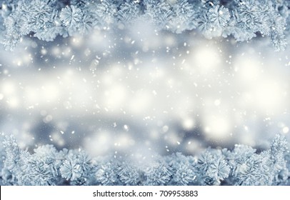 Winter And Christmas Border. Pine Tree Branches Covered Frost In Snowy Atmosphere.