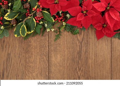 Winter and christmas flora with red poinsettia flowers, holly, ivy, mistletoe and spruce fir over oak wood background.