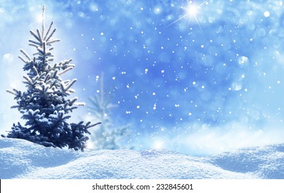 Winter Christmas Landscape 