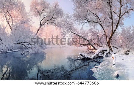 Winter Christmas Landscape In Pink Tones With Calm Winter River, Surrounded By Trees.Winter Forest On The River At Sunset. Landscape With Snowy Trees, Beautiful Frozen River With Reflection In Water