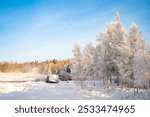 Winter Christmas Landscape with snowy Trees and Calm Winter River. Winter Forest On The River At Sunset.