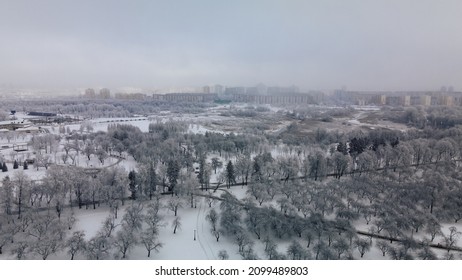 Winter City Garden.  Trees In The Snow. Flying Over A Snow-covered Park. Aerial Photography.