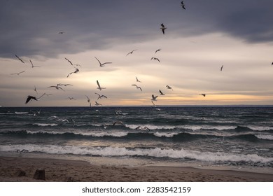 Winter cloudy seaside landscape. Birds against the background of the Baltic Sea. Photo taken in Gdynia, Poland. - Shutterstock ID 2283542159
