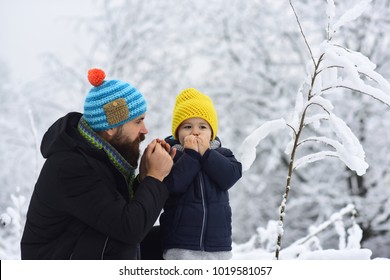 Winter Cold For Hands. Young Kid Explore Snow In Forest With Father. Winter Walk With Family. Frosty Weather In Mountains. Game Witn Snowballs Outside. Snow In Forest On The Trees. Cream Against Frost