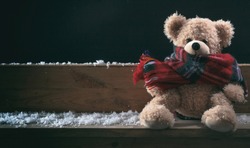 Winter, Cold Weather, Loneliness. Teddy With Scarf Sitting Alone On A Snowed Bench, Banner, Copy Space