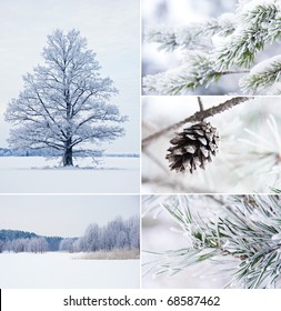 Winter Collage