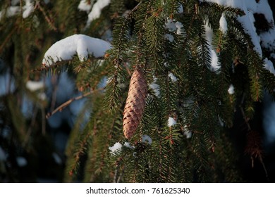 winter is coming