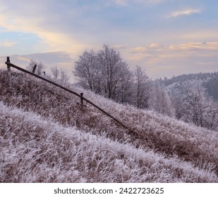 Winter coming. Picturesque foggy and moody pre sunrise scene in late autumn mountain countryside with hoarfrost on grasses, trees, slopes. Ukraine, Carpathian Mountains.